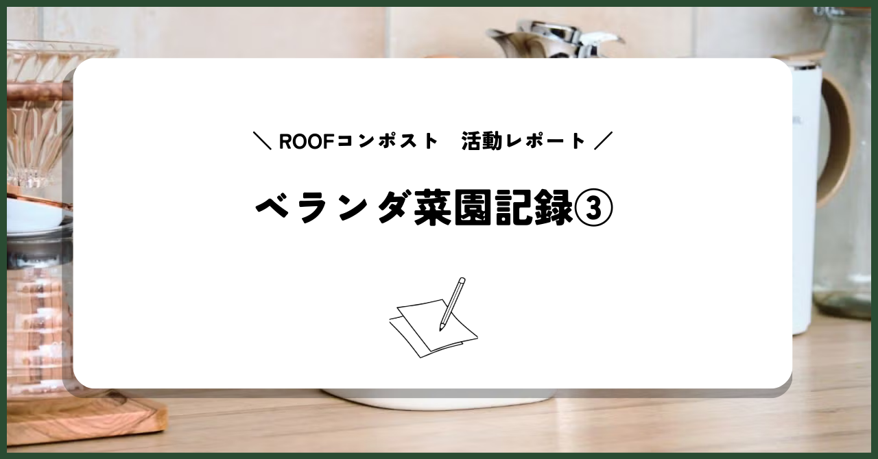 【ROOFコンポスト活動レポート】栽培記録③