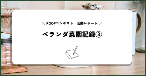 【ROOFコンポスト活動レポート】栽培記録③