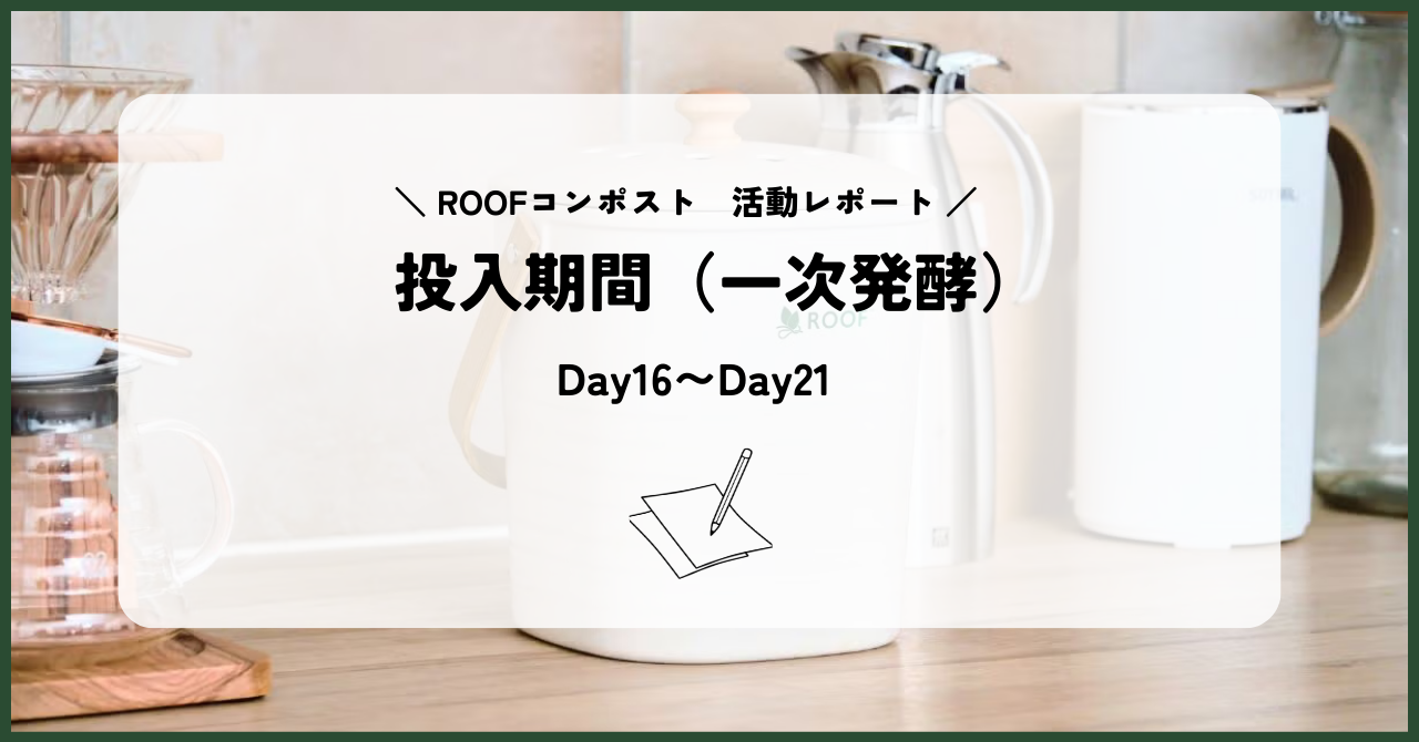 【活動レポート】DAY16〜DAY21